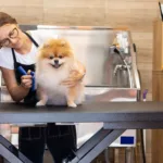 Pet groomer ζητείται για πλήρη απασχόληση