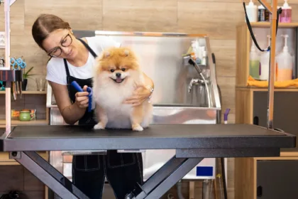 Pet groomer ζητείται για πλήρη απασχόληση