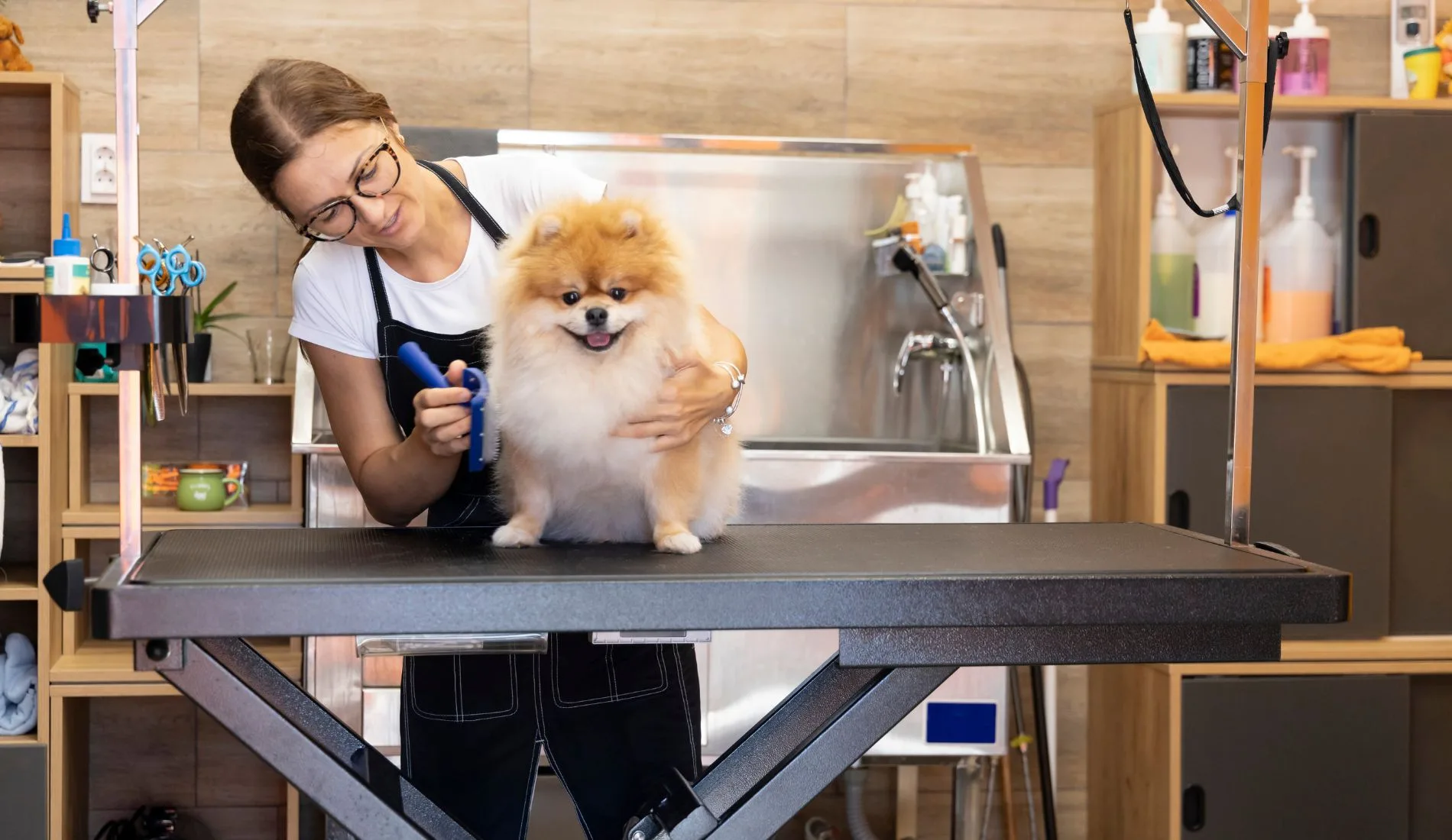 Pet groomer ζητείται για πλήρη απασχόληση