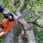 Εργάτης ζητείται για κλαδέματα & κοπή δένδρων