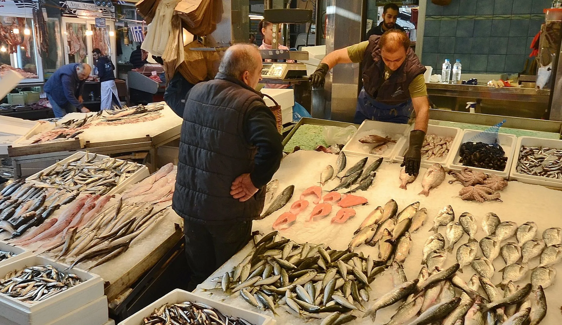 Υπάλληλος ζητείται από ιχθυοπωλείο για πλήρη απασχόληση