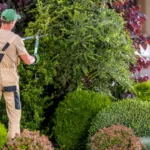 Εργάτης ζητείται από τεχνική εταιρεία πρασίνου