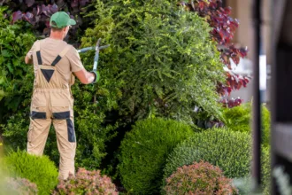 Εργάτης ζητείται από τεχνική εταιρεία πρασίνου